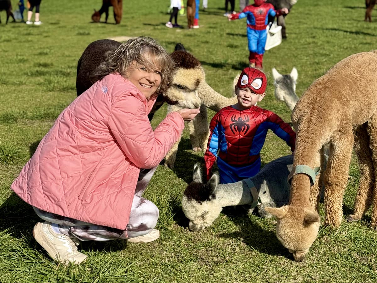 Children in costume meeting the alpacas during Halloween on the Farm