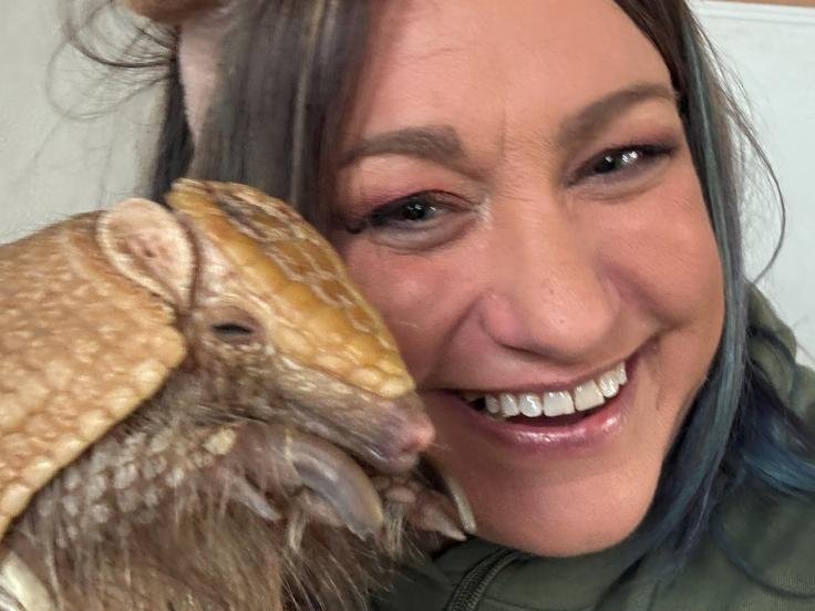 Coatimundi and armadillo encounter at Majestic Meadows Alpacas