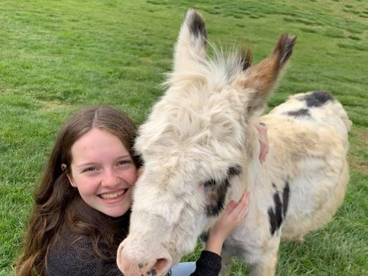 Junior Farmer program at Majestic Meadows Alpacas petting zoo Medina Ohio