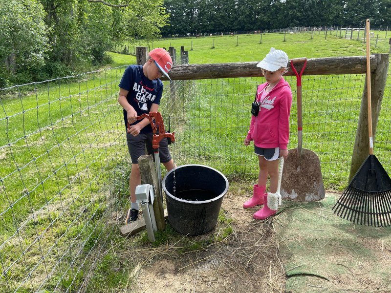 Junior Farmers group at Majestic Meadows Alpacas petting zoo Ohio