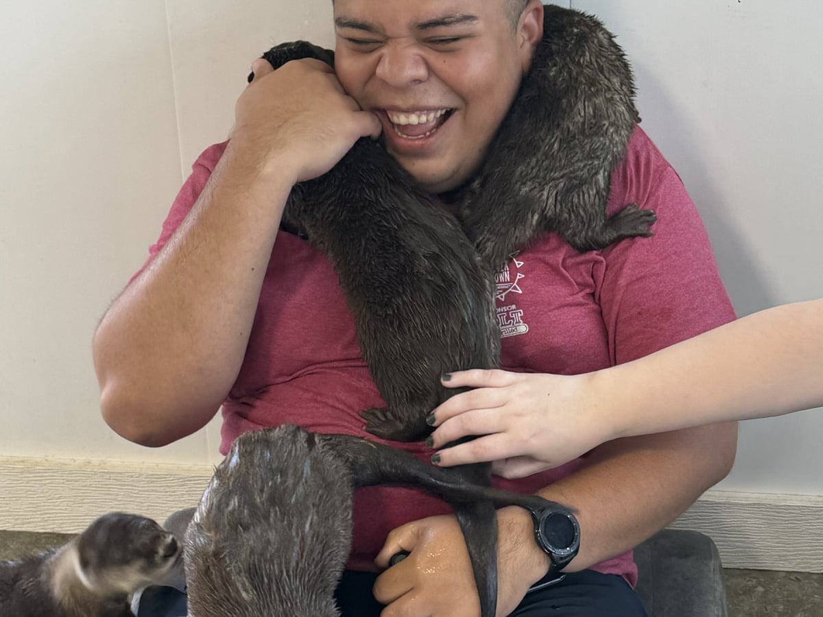 Otter encounter experience at Majestic Meadows Alpacas