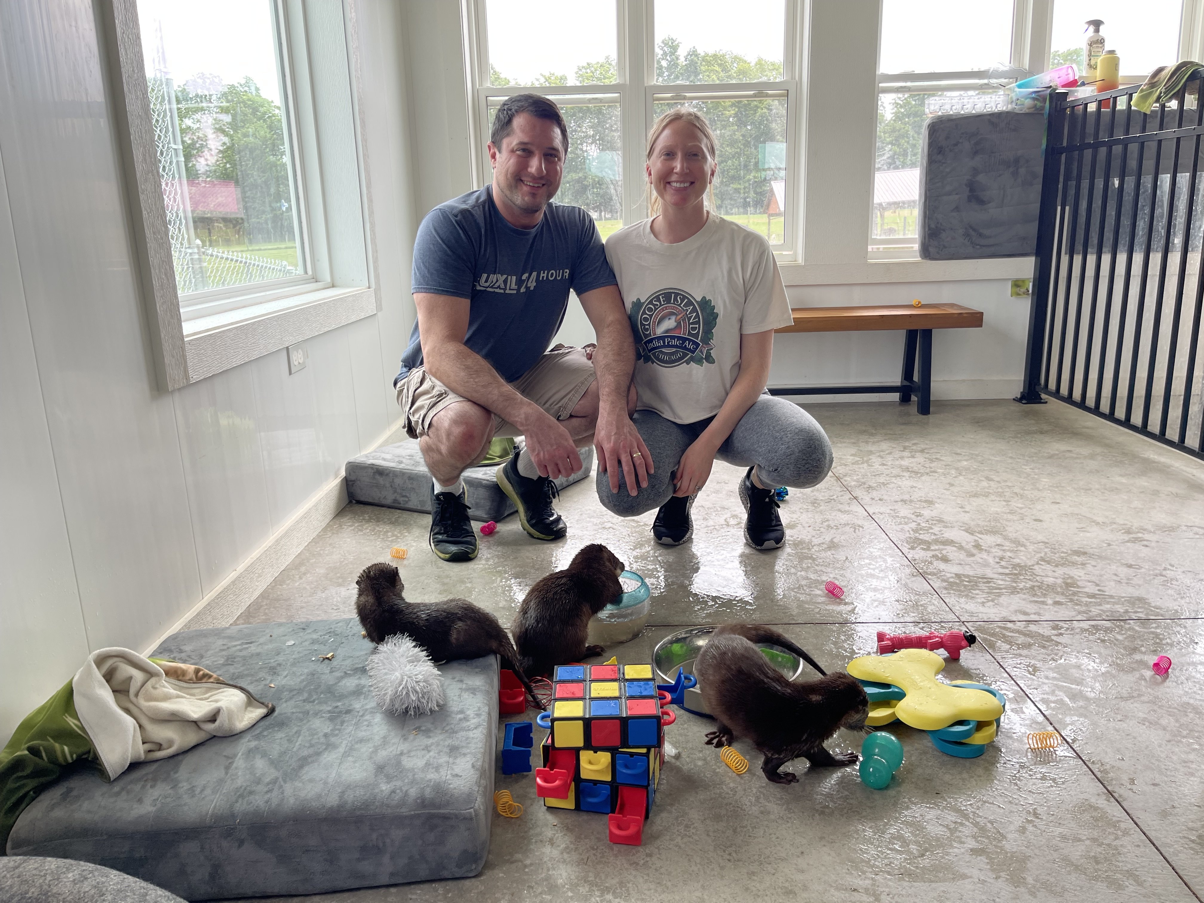 Otter private encounter at Majestic Meadows Alpacas Ohio