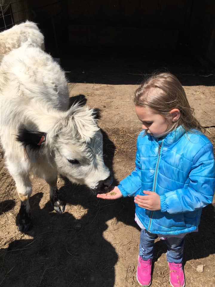 Families enjoying Easter event