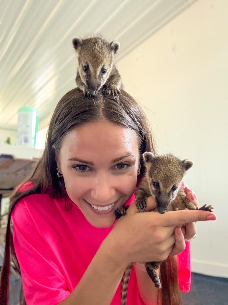 animal-encounters.jpg Private animal encounters and interactive experiences at Majestic Meadows