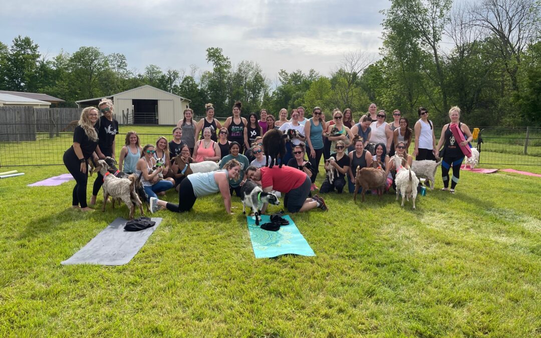 Goat Yoga Classes for all Ages