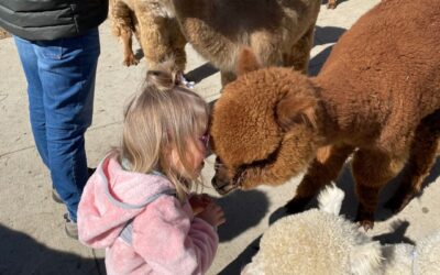National Alpaca Farm Days 2021!